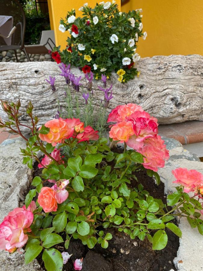 Agriturismo Benza Империа Екстериор снимка